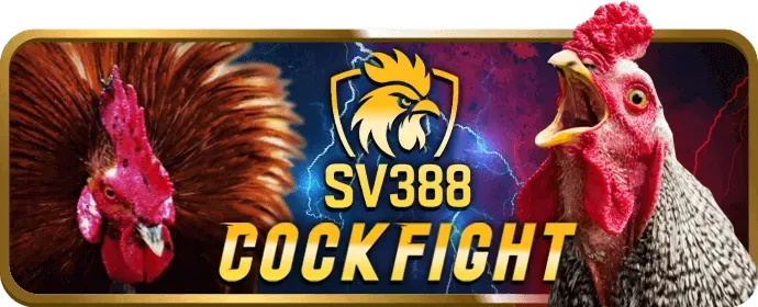 Đá gà trực tiếp 8sbet