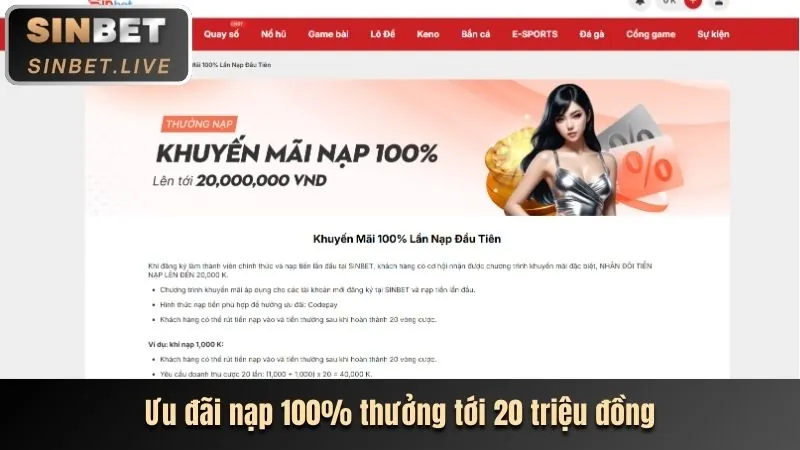 Hoàn trả hàng ngày 8sbet